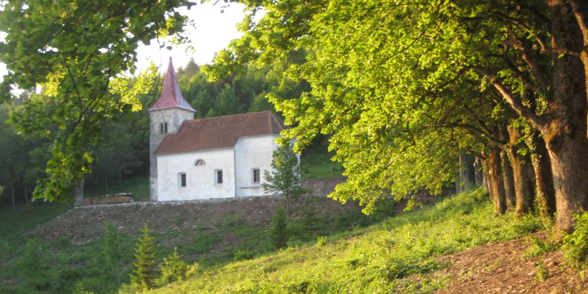 Herr, du lässt mich den Weg des Lebens erkennen. Ps 16,11