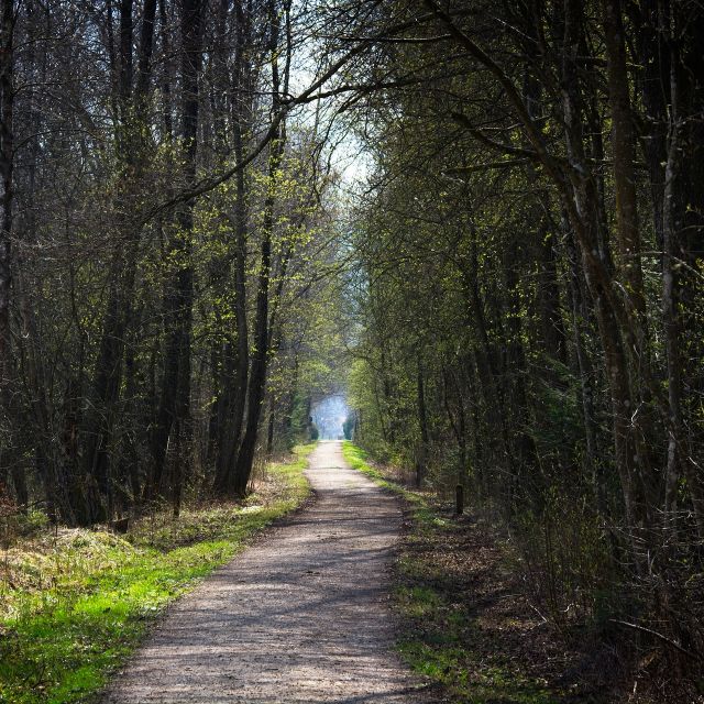 Auch unser Weg heißt: „Ich bin vom Vater ausgegangen und in die Welt gekommen. Ich verlasse die Welt wieder und kehre wieder zum Vater zurück.“